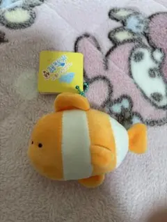 つぶらな瞳 水族館 かくれくまのみ