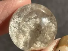 2026年最新】ガーデンスフィアの人気アイテム - メルカリ