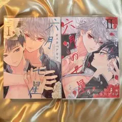 ごんしまねこ様 リクエスト 2点 まとめ商品