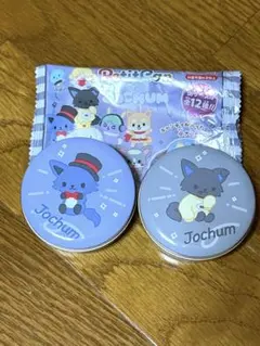 JOCHUM プチキャン レイン・ピーハイ2点セット