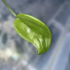 ムック様 リクエスト 10点 まとめ商品