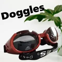 Item thumbnail for item 43dcd356-022c-4d4c-a70e-2cf56706cafe