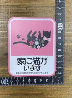 Item thumbnail for item e8fb0805-3cba-4c50-a092-0a7eb081d0b8