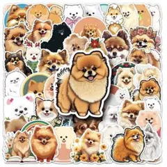 SakuLove先生様 リクエスト 2点 まとめ商品