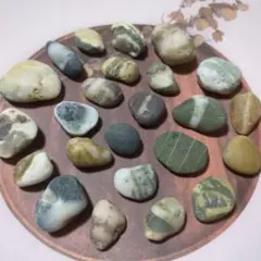 iekoumori様 リクエスト 2点 まとめ商品