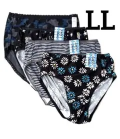 Item thumbnail for item bd88586b-f1c5-4fca-9f17-501a98b9f31b