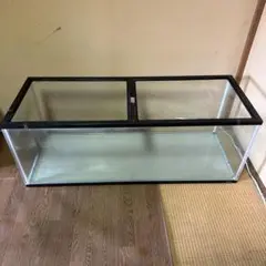 コトブキ　1200水槽のサムネイル