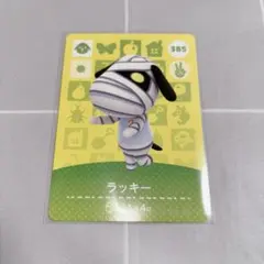 どうぶつの森 あつ森 amiiboカード ラッキー