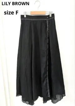 LILY BROWN　リリーブラウン　シアーロングフレアスカート　重ね着　透け感