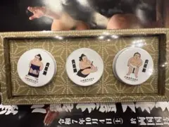 大相撲　貴景勝　断髪式　バーム　セットB