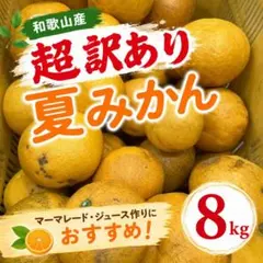 和歌山　夏みかん　超訳あり　8kg 　混合　みかん系柑橘17のサムネイル