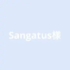 Sangatus様専用