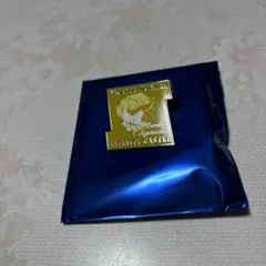 鬼滅の刃無限城編第一章キャラクターモチーフピンズ第一弾我妻善逸