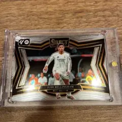 panini prizm ベリンカム　field level