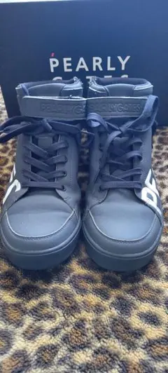 Item thumbnail for item e2f1a13f-cf95-45d4-b384-6bb68839d44a