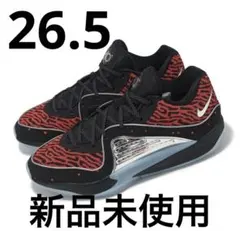 2025年最新】kd16の人気アイテム - メルカリ