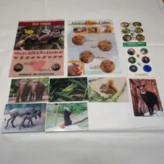 Item thumbnail for item c207fb12-e32c-486f-9e43-2057e0b5894d