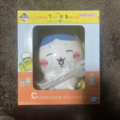 Item thumbnail for item 69322129-29f5-4af2-bb84-74a74d592a35