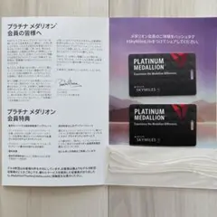 2026年最新】デルタ スカイマイルの人気アイテム - メルカリ