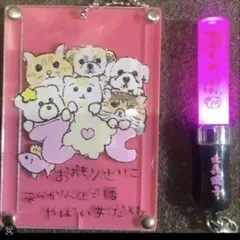 【美品】大森靖子　ペンライト 2本セット 大森靖子 ペンライト2本セット - メルカリ