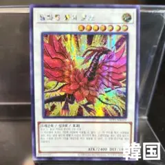 2025年最新】ブラック・ローズ・ドラゴン 韓国の人気アイテム