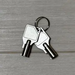 Buffalo テラステーション用　鍵　２つセット