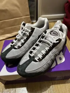 【最終値下げ】25.0cm Nike Air Max 95 CACAO WOW