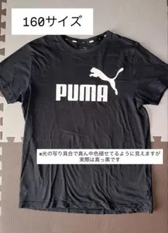 PUMA 黒 Tシャツ 160サイズ