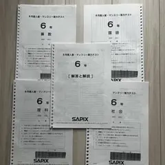 2026年最新】sapix 6年 理科の人気アイテム - メルカリ
