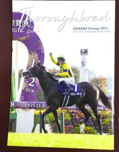 2025年最新】サンデーサラブレッドクラブの人気アイテム - メルカリ