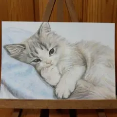 色鉛筆画　手描き　仔猫