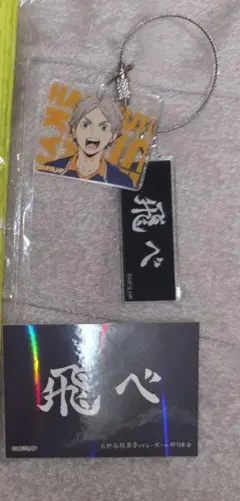 ハイキュー 菅原孝支