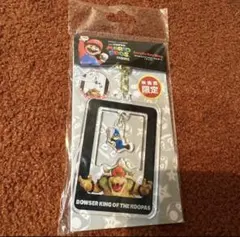 THE SUPER MARIO BROS. MOVIE アクリルキーホルダー