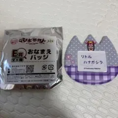 こびとづかん キャラ福くじ 第2弾 E賞 おなまえバッチ リトルハナガシラのサムネイル