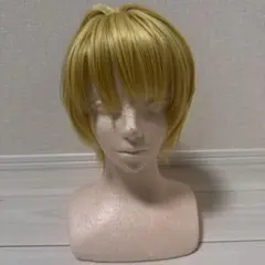 ✠朝倉 シン ウィッグ✠セット済 SAKAMOTODAYS - メルカリ
