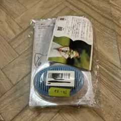 Item thumbnail for item 50d45c3b-7274-49de-95ce-543379bb1ed9