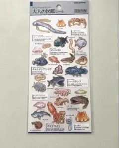 くるみ様 リクエスト 2点 まとめ商品