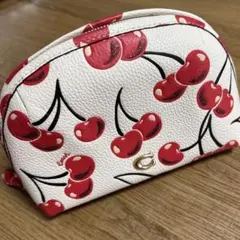 COACH チェリー柄 ペンケース ポーチ - メルカリ