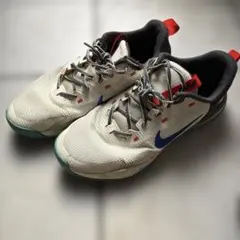 Tom SachsとNikeのコラボモデル　　 （✨希少品✨）値下げ可能⭕️