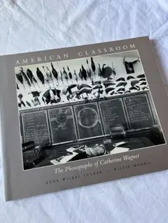 American Classroom / Catherine Wagner