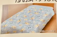 ポケモンスリープ 吸湿発熱わた入り2枚合わせブランケット・毛布 昭和