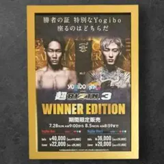 超RIZIN.3 朝倉未来 平本蓮 フライヤー ポスター 額縁付き