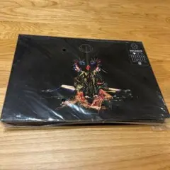 the GazettE ガゼット DIVISION 初回限定盤 アルバム