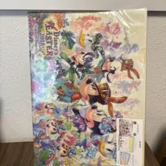 2018 ファッショナブルイースター クリアファイル