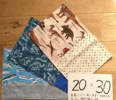 恐竜　新幹線　切替あり裏地あり　20×30　ランチョンマット　3枚