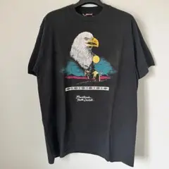 未開封品】ELLEGARDEN 2019 ワニTシャツ 黒 XL - メルカリ