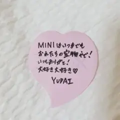 INI MASTERPIECE 　メッセージ　佐野雄大