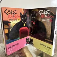 【初版❗️】　くろねこルーシー 上下　竹書房文庫