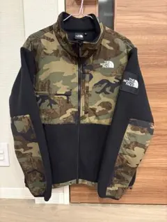 THE NORTH FACE デナリジャケット ノベルティカラー