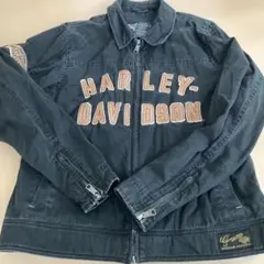 Item thumbnail for item 630b3ced-d49f-4e07-87ed-fccfdf307bd0